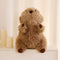 Cute Seel Doll Plush Toys Soothing Pillow Ragdoll