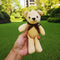 Teddy Bear, Pineapple, Wish, Hand Gift, Doll, Pendant Accessories, Packing Box, Korean Rabbit