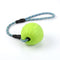 Dog Ball Toy  Bite Resistance Puzzle Training