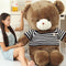 Children's Birthday Plush Toy Teddy Bear