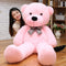 Children's Birthday Plush Toy Teddy Bear