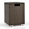 2-in-1 Patio Rattan Gas Propane Tank Cover for 20 lbs Propane Tanks