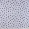 Cotton baby blanket