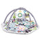 Baby Ocean Ball Fence Fitness Frame