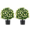 2 Pack Artificial Boxwood Topiary Ball Tree Faux Shrub Bushes with Flowers