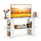 2-Tier TV Stand with Storage for TVs up to 55 Inch Console Table with Open Shelf