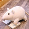 Simulation 3D mouse doll