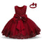 Baby Princess One Year Old Bow Lace Dress