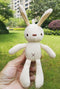 Teddy Bear, Pineapple, Wish, Hand Gift, Doll, Pendant Accessories, Packing Box, Korean Rabbit