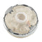 The New Burst Top Bottom Peripheral Accessories Lighting