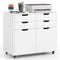 4 Drawer File Cabinet with Wheels for Home Office Organization
