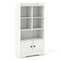4 Tiers Bookshelf with 4 Cubes Display Shelf and 2 Doors