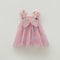Rainbow Wings Mesh Girl Dress