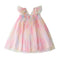 Rainbow Wings Mesh Girl Dress