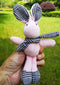 Teddy Bear, Pineapple, Wish, Hand Gift, Doll, Pendant Accessories, Packing Box, Korean Rabbit