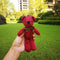 Teddy Bear, Pineapple, Wish, Hand Gift, Doll, Pendant Accessories, Packing Box, Korean Rabbit