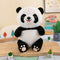 Cute Panda Plush Toy Wearing Clothes