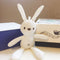 Teddy Bear, Pineapple, Wish, Hand Gift, Doll, Pendant Accessories, Packing Box, Korean Rabbit