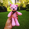 Teddy Bear, Pineapple, Wish, Hand Gift, Doll, Pendant Accessories, Packing Box, Korean Rabbit