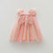 Rainbow Wings Mesh Girl Dress