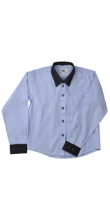 Long Sleeve Blouse With Collar