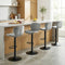 Adjustable Counter Height Chairs Set of 4 with Velvet Upholstered Backrests