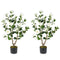 36 Inch Artificial Camellia Tree with Blooming Flower 2 Pack