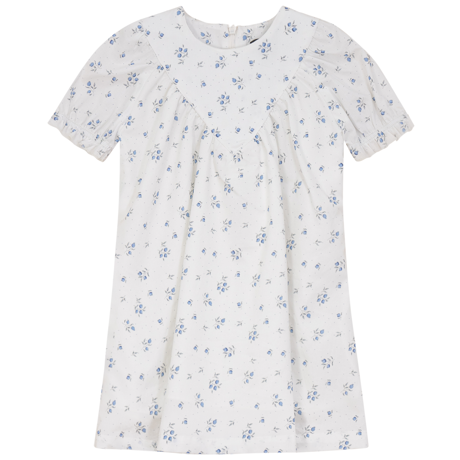 Blueberry Printed Dress