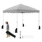 Foldable 10 X 10 Feet Pop up Canopy Tent with Wheeled Bag