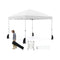 Foldable 10 X 10 Feet Pop up Canopy Tent with Wheeled Bag