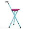 Lightweight Adjustable Folding Cane Seat with Light