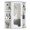 Mirrored Bathroom Medicine Cabinet with Single Mirror Door and Adjustable Shelf