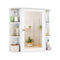 Wall-Mounted Bathroom Mirror Cabinet with Storage Shelves