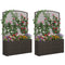 Set of 2 58 Inch Raised Garden Bed with Trellis and Wicker Planter Box