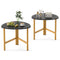 Set of 2 Triangle Coffee Table Oval with Metal Legs