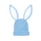 Bunny Ear Knit Beanie in Baby Blue