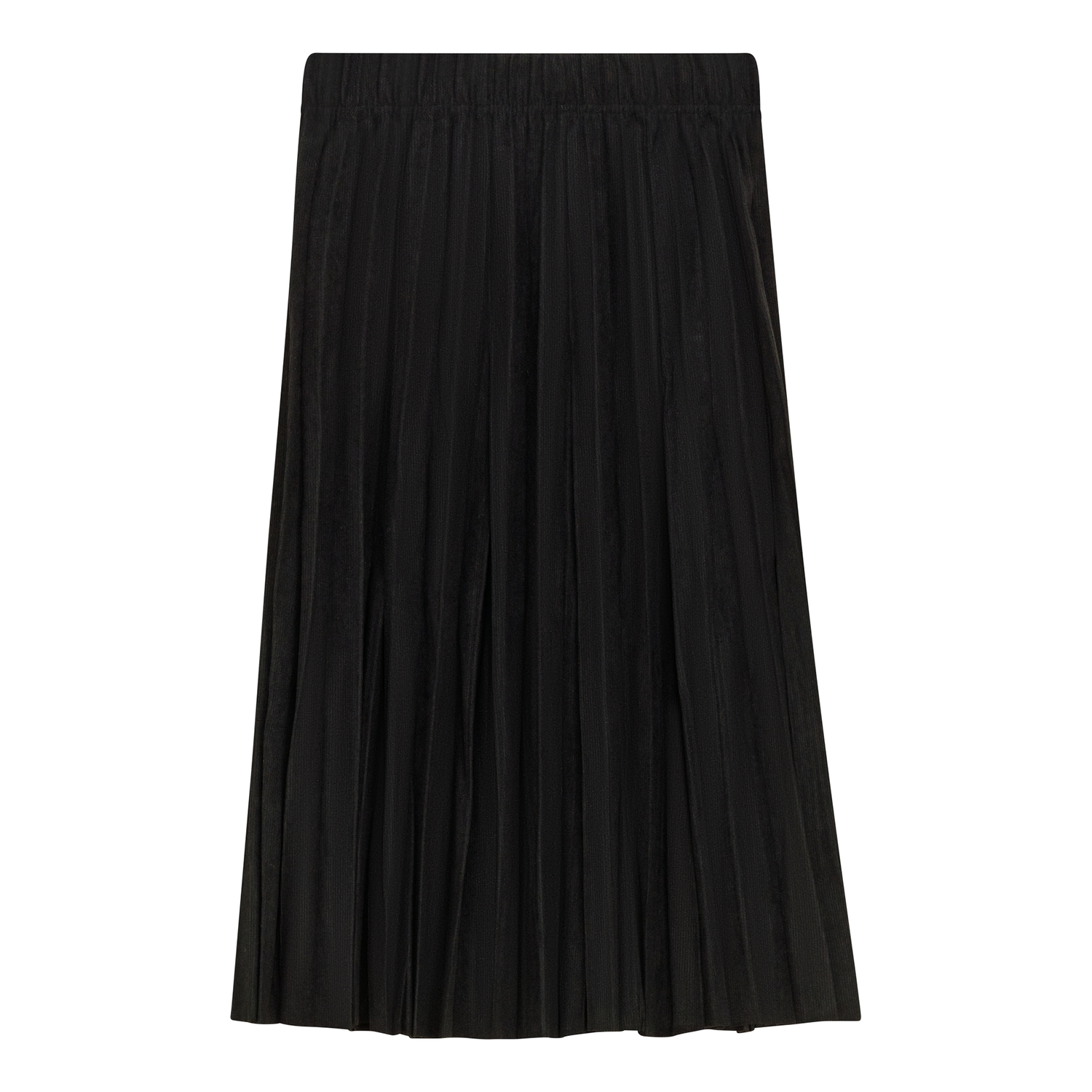 Crinkle Woven Pleated Skirt