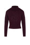 Cropped Knit Turtle Neck