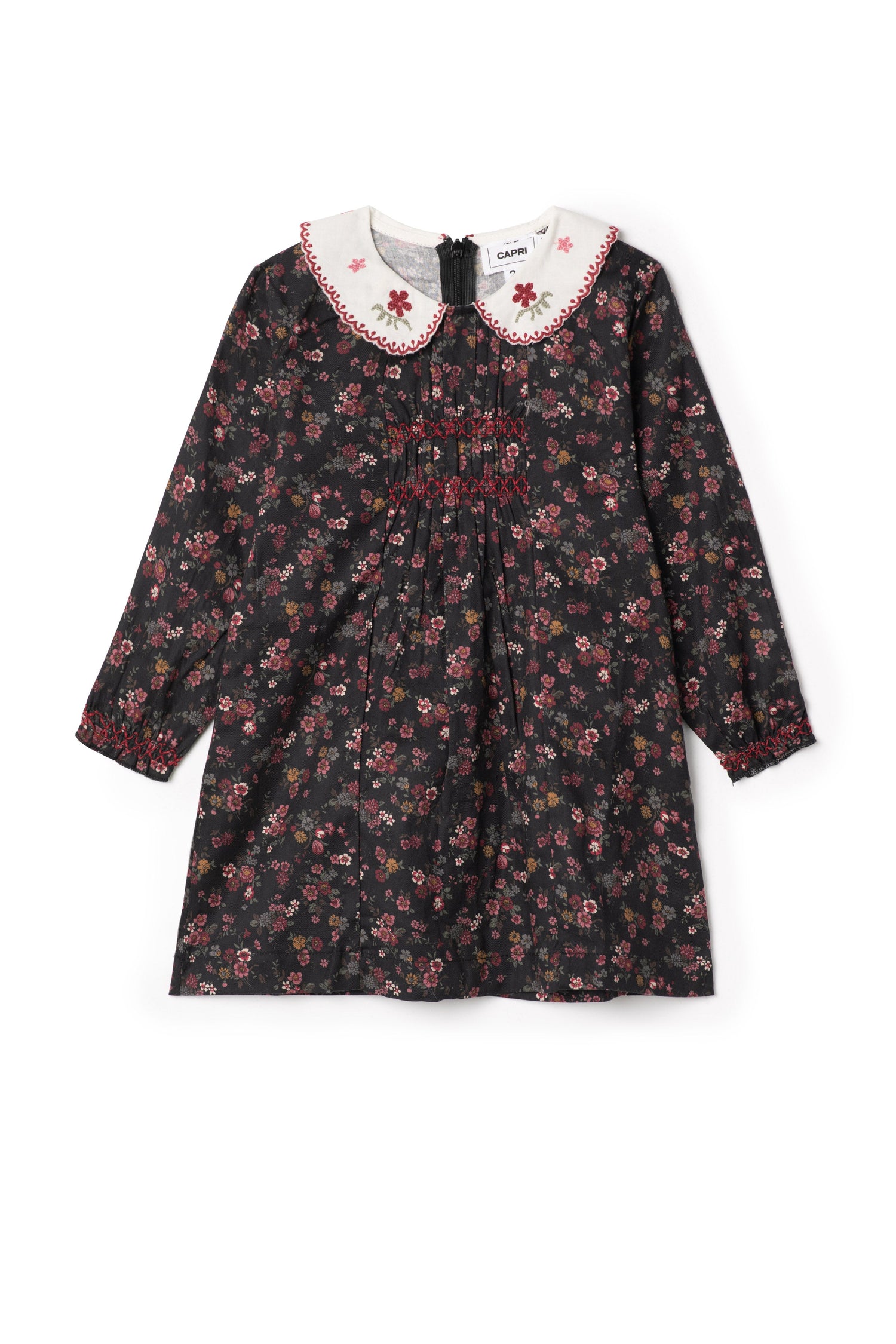 Woven Embroidered Dress
