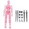 3D Printing More Than Movable Joint Doll Lucky 13 Full Body Movable Robot