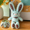 Dopamine-themed Bunny Toy For Your Backpack