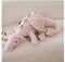 Ins Cute Soft Dinosaur Doll Pterodactyl Doll Sleeping Lying Pillow Pillow Plush Toy