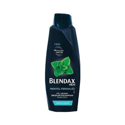 Blendax Men's Refreshing Menthol Shampoo - 16.91 fl oz - Volumizing & Long-Lasting Fragrance