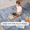5 x 7 Feet Modern Rectangular Soft Shag Area Rug for Living Room Bedroom